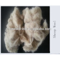 Good Wool Waste with Competitive price